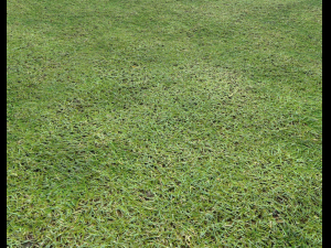 ground terrain grass pbr pack 7 Texturas CG