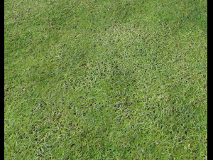 ground terrain grass pbr pack 7 Texturas CG