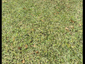 ground terrain grass pbr pack 7 CG Textures
