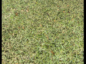 ground terrain grass pbr pack 7 Texturas CG