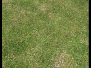 ground terrain grass pbr pack 7 CG Textures