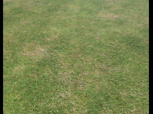ground terrain grass pbr pack 7 Texturas CG