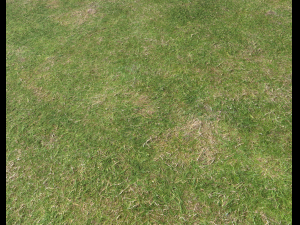 ground terrain grass pbr pack 7 Texturas CG