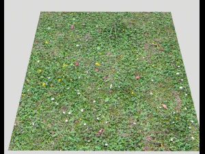 ground terrain grass pbr pack 7 CG Textures