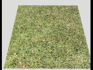 ground terrain grass pbr pack 7 Texturas CG
