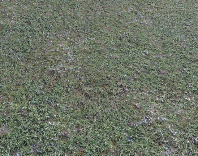 ground terrain forest tundra pbr pack 4 CG टेक्स्चर्स .c4d .max .obj .3ds .fbx .stl .blend 