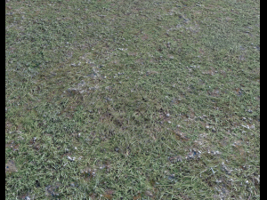 ground terrain forest tundra pbr pack 4 CG Textures