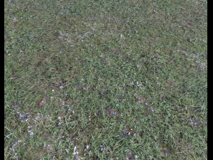 ground terrain forest tundra pbr pack 4 CG टेक्स्चर्स