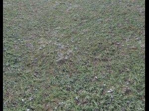ground terrain forest tundra pbr pack 4 CG टेक्स्चर्स