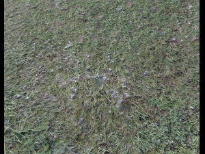 ground terrain forest tundra pbr pack 4 CG टेक्स्चर्स