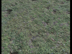 ground terrain forest tundra pbr pack 4 CG टेक्स्चर्स