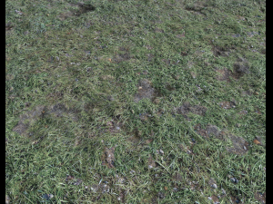 ground terrain forest tundra pbr pack 4 CG टेक्स्चर्स
