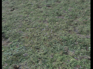ground terrain forest tundra pbr pack 4 CG टेक्स्चर्स