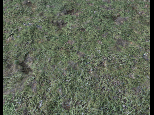 ground terrain forest tundra pbr pack 4 CG टेक्स्चर्स