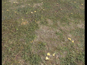 ground terrain forest tundra pbr pack 4 CG टेक्स्चर्स