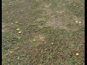 ground terrain forest tundra pbr pack 4 CG टेक्स्चर्स
