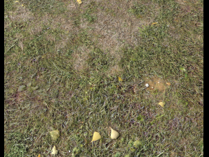 ground terrain forest tundra pbr pack 4 CG टेक्स्चर्स