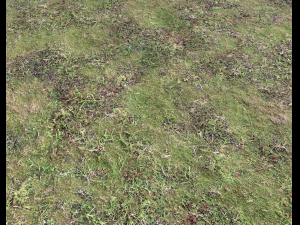 ground terrain forest tundra pbr pack 4 CG टेक्स्चर्स