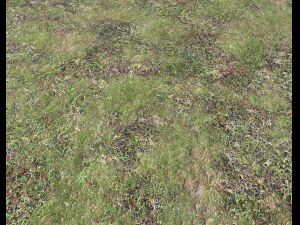 ground terrain forest tundra pbr pack 4 CG टेक्स्चर्स