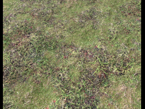 ground terrain forest tundra pbr pack 4 CG टेक्स्चर्स