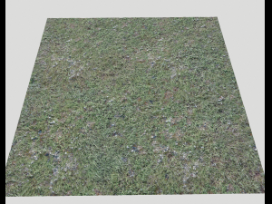 ground terrain forest tundra pbr pack 4 CG टेक्स्चर्स