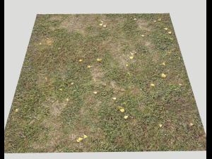 ground terrain forest tundra pbr pack 4 CG टेक्स्चर्स