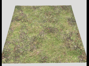 ground terrain forest tundra pbr pack 4 CG टेक्स्चर्स