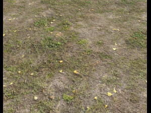 terreno terreno floresta tundra pbr pack 5 Texturas CG