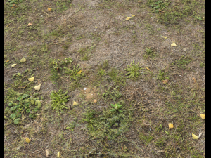 ground terrain forest tundra pbr pack 5 CG Текстури