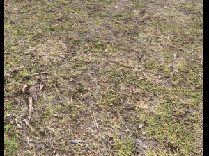 ground terrain forest tundra pbr pack 5 CG Текстури