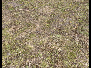 ground terrain forest tundra pbr pack 5 CG Текстури