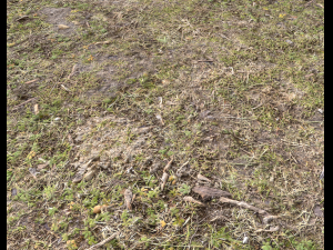 ground terrain forest tundra pbr pack 5 CG Текстури