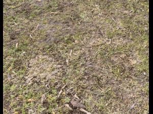 ground terrain forest tundra pbr pack 5 CG Текстури