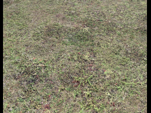 ground terrain forest tundra pbr pack 5 CG Текстури