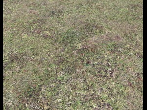 ground terrain forest tundra pbr pack 5 CG Текстури