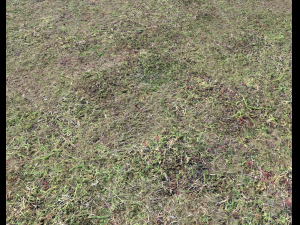 ground terrain forest tundra pbr pack 5 CG Текстури