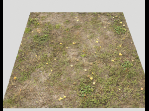 ground terrain forest tundra pbr pack 5 CG Текстури