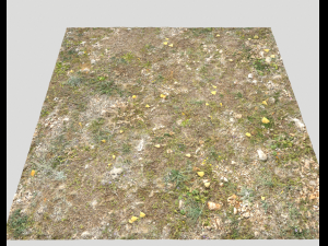 ground terrain forest tundra pbr pack 5 CG Текстури