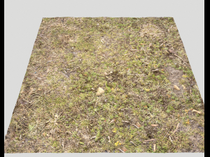 ground terrain forest tundra pbr pack 5 CG Текстури