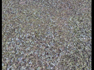forest terrain pack 25 CG Textures