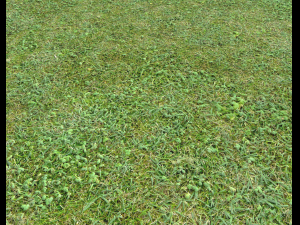 forest terrain pack 25 CG Textures