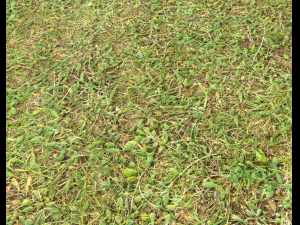 forest terrain pack 25 CG Textures