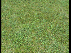 forest terrain pack 25 CG Textures