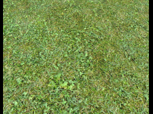 forest terrain pack 25 CG Textures