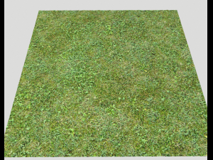 forest terrain pack 25 CG Textures