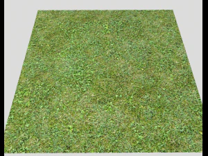 forest terrain pack 25 CG Textures