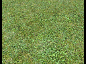forest terrain pack 25 CG Textures