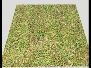 forest terrain pack 25 CG Textures