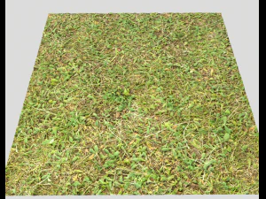 forest terrain pack 25 CG Textures