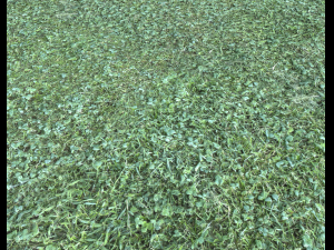 forest terrain pack 25 CG Textures
